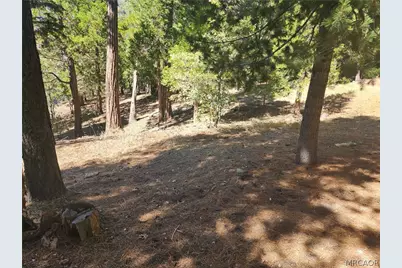 0 Grass Valley Road, Lake Arrowhead, CA 92352 - Photo 7