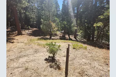 0 Grass Valley Road, Lake Arrowhead, CA 92352 - Photo 1