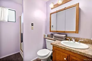 335 Scandia Rd, Big Bear Lake, CA 92315 - Photo 21