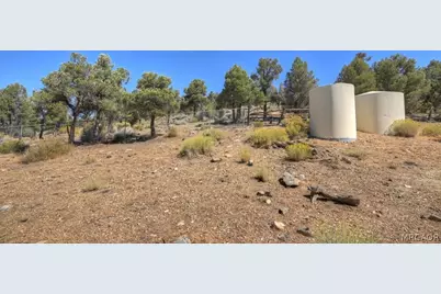 45776 Falling Springs Road, Big Bear City, CA 92314 - Photo 31