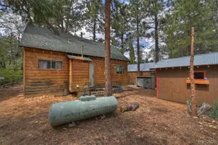 313 Leonard Ln, Sugarloaf, CA 92386 - Photo 23