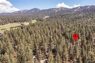 42679 La Placida Ave, Big Bear Lake, CA 92315 - Photo 29