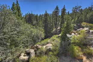 32311 Rim of the World Dr, Fawnskin, CA 92333 - Photo 53