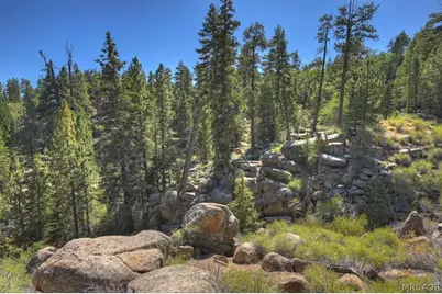 32311 Rim Of The World Drive, Fawnskin, CA 92333 - Photo 55