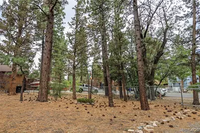 620 Pine Lane, Sugarloaf, CA 92386 - Photo 1