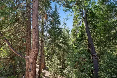 296 Grass Valley Road, Lake Arrowhead, CA 92352 - Photo 33