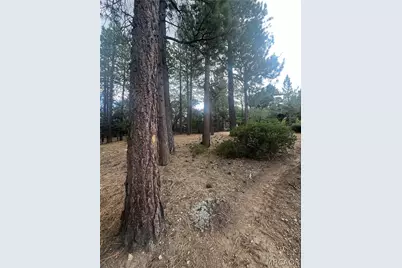 833 Great Spirits Way Way, Big Bear Lake, CA 92315 - Photo 11