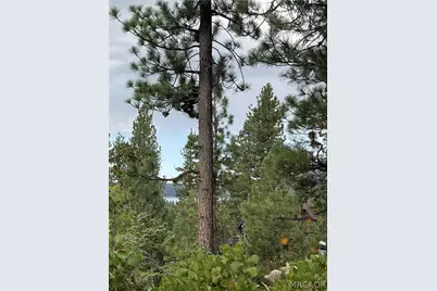 833 Great Spirits Way Way, Big Bear Lake, CA 92315 - Photo 3