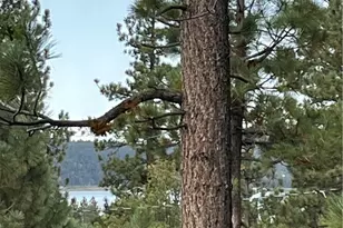 833 Great Spirits Way Way, Big Bear Lake, CA 92315 - Photo 1