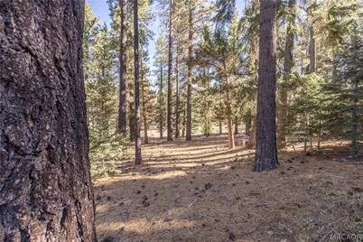 43320 Sand Canyon Road, Big Bear Lake, CA 92315 - Photo 51