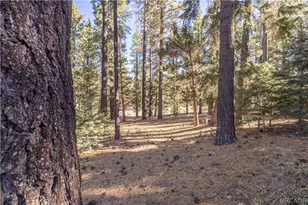 43320 Sand Canyon Rd, Big Bear Lake, CA 92315 - Photo 51