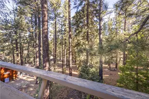 43320 Sand Canyon Rd, Big Bear Lake, CA 92315 - Photo 29