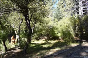 33758 Meadow Ln, Green Valley Lake, CA 92341 - Photo 29