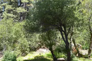 33758 Meadow Ln, Green Valley Lake, CA 92341 - Photo 27