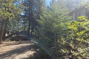 38695 Big Bear Blvd, Big Bear Lake, CA 92315 - Photo 5