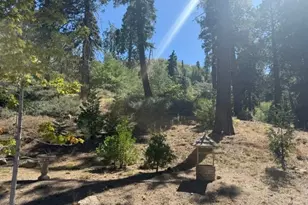 647 Lone Pine Ln, Green Valley Lake, CA 92341 - Photo 29
