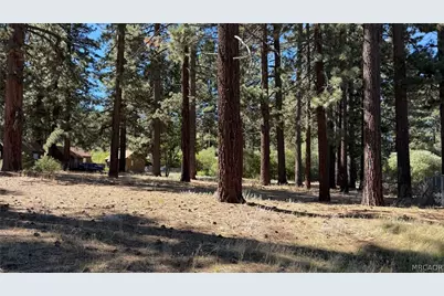 776 Knickerbocker Road, Big Bear Lake, CA 92315 - Photo 11