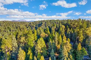 641 Buckingham Square, Lake Arrowhead, CA 92385 - Photo 41
