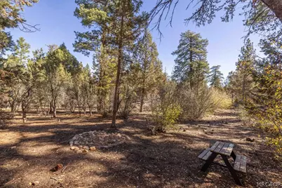 719 Pine Lane, Sugarloaf, CA 92386 - Photo 27