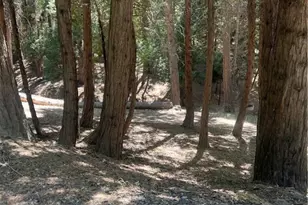 000 Cumberland Dr, Lake Arrowhead, CA 92352 - Photo 1