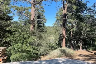 1319 Pigeon Rd, Big Bear Lake, CA 92315 - Photo 1