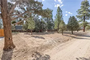 909 Ash Ln, Big Bear City, CA 92314 - Photo 1