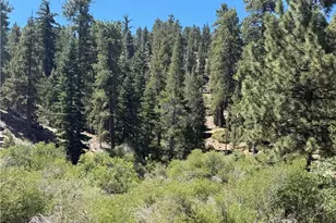 0 Skyline, Big Bear Lake, CA 92315 - Photo 1