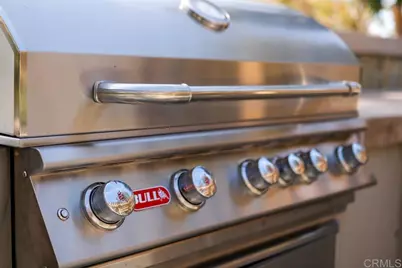 3609 Buck Ridge Avenue, Carlsbad, CA 92010 - Photo 19