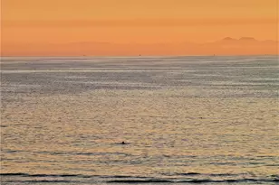 1808 E Appleton, Long Beach, CA 90802 - Photo 41