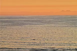 1724 E 1st St, Long Beach, CA 90802 - Photo 45