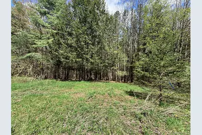 Lot 16 Putnam Road, Other, NY 13750 - Photo 5