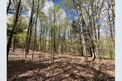 Lot 16 Putnam Road, Other, NY 13750 - Photo 13