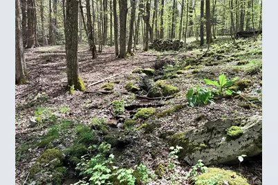 Lot 16 Putnam Road, Other, NY 13750 - Photo 11