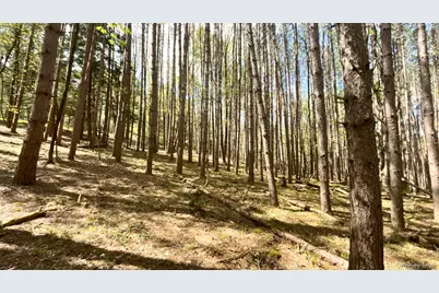 Lot 16 Putnam Road, Other, NY 13750 - Photo 7