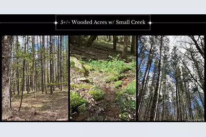 Lot 16 Putnam Road, Other, NY 13750 - Photo 1