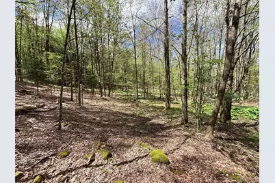 Lot 16 Putnam Road, Other, NY 13750 - Photo 17
