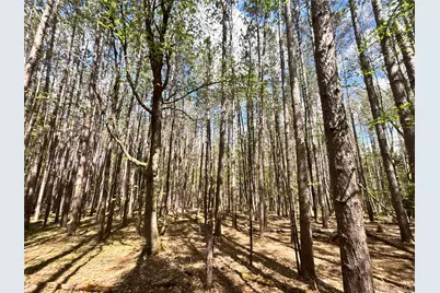 Lot 16 Putnam Road, Other, NY 13750 - Photo 15