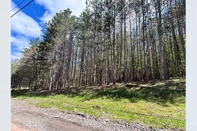 Lot 16 Putnam Road, Other, NY 13750 - Photo 3