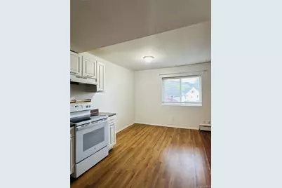 23 Pearl Street #5, Livingston Manor, NY 12758 - Photo 3