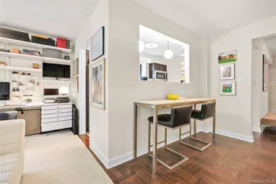 7423 Ridge Boulevard #1C, Brooklyn, NY 11209 - Photo 9