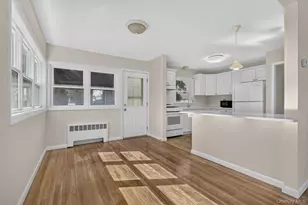 48 Locust St, Westbury, NY 11590 - Photo 5