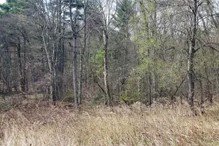 168 Harris Rd, Harris, NY 12742 - Photo 17