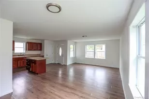 22 Apple St, Kingston, NY 12401 - Photo 13