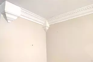 400 Cozine Ave, Brooklyn, NY 11207 - Photo 19