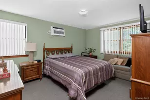 56 Dail St, New Hyde Park, NY 11040 - Photo 13