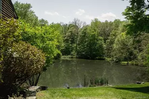 78 Rymph Rd, Staatsburg, NY 12580 - Photo 27