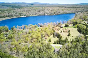 26 Elko Lake Dr, Parksville, NY 12768 - Photo 41