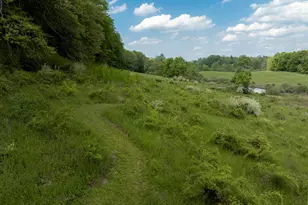 3881 Route 44, Millbrook, NY 12545 - Photo 13