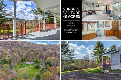 1264 Betty Brook Road, Call Listing Agent, NY 13842 - Photo 1