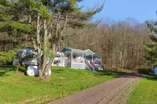 1264 Betty Brook Rd, Call Listing Agent, NY 13842 - Photo 3